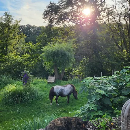 Vakantiehuis Siegstrand Mit Flusszugang Mittelhof