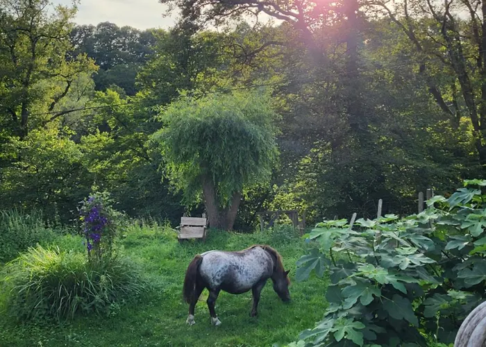 Casa de Férias Siegstrand Mit Flusszugang Mittelhof